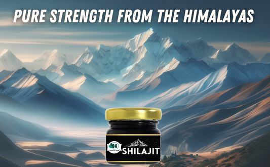 10 Proven Health Benefits of Shilajit Backed by Science