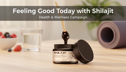 Rejuvenate Your Mind and Body with Shilajit Resin